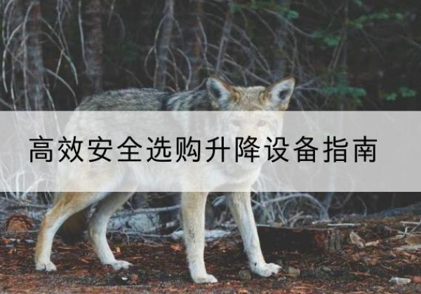 东至升降货梯厂家推荐-*安全选购升降设备指南