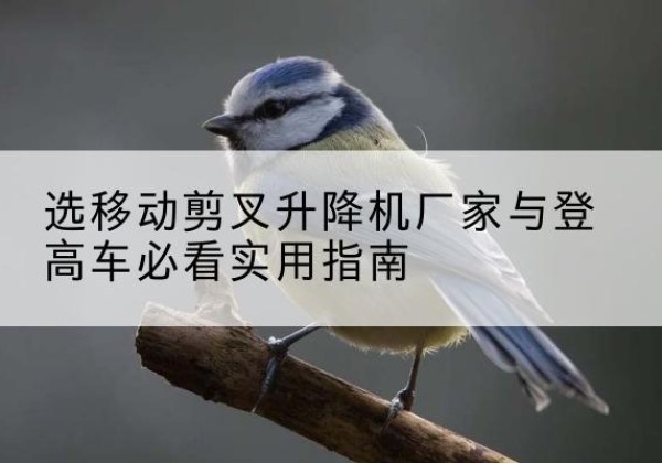 东至电动升降机厂家-选移动剪叉升降机厂家与登高车必看实用指南