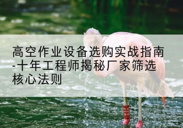 东至剪叉式升降机厂家-高空作业设备选购实战指南-十年工程师揭秘厂家筛选核心法则