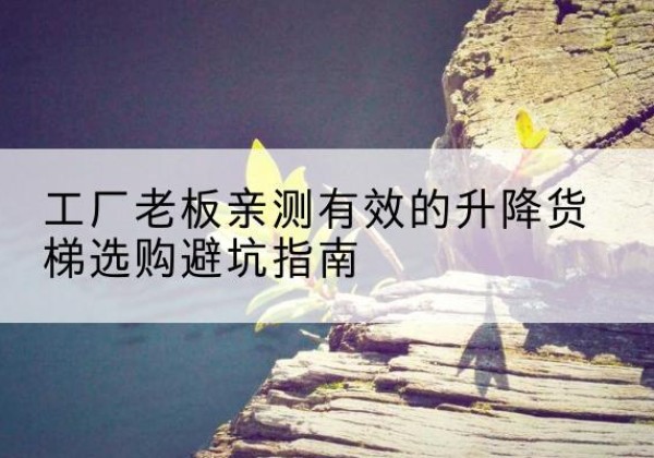 东至升降货梯怎么选-工厂老板亲测有效的升降货梯选购避坑指南